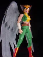 Hawkgirl (Kendra Saunders) (DC Universe) Custom Action Figure