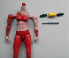 Detachable Shoulders and Arms Custom Tutorial Picture #1